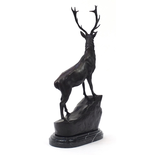 153 - Large patinated bronze stag raised on a shaped marble base, 74cm high