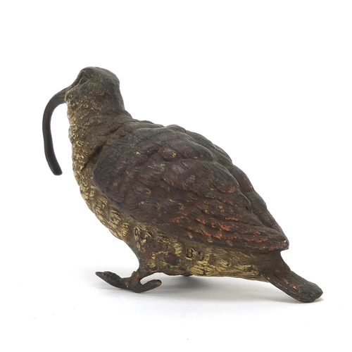 146 - Austrian cold painted bronze curlew, impressed Geschutzt and numbered 895, 8.5cm in length