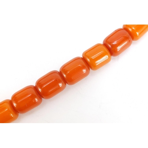 667 - Amber coloured bead necklace, 48cm in length, 146.2g