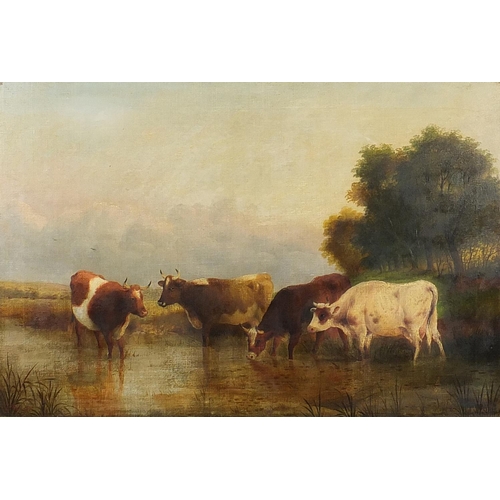 65 - G Mali - Cattle in a landscape, 19th century oil on canvas, mounted and framed, 75cm x 49cm excludin... 