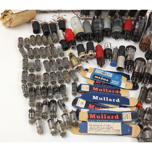 680 - Good collection of vintage radio valves some with boxes including Mullard and Pinnacle