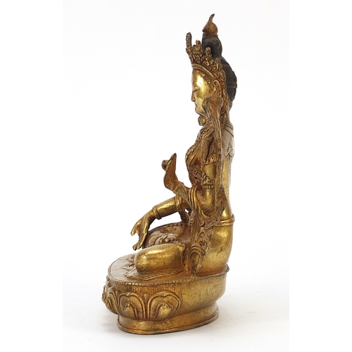 259 - Chino Tibetan gilt bronze figure of seated Buddha, 20cm high