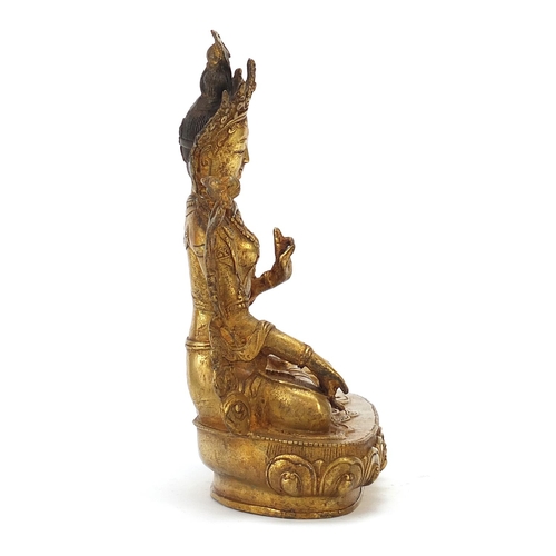 259 - Chino Tibetan gilt bronze figure of seated Buddha, 20cm high