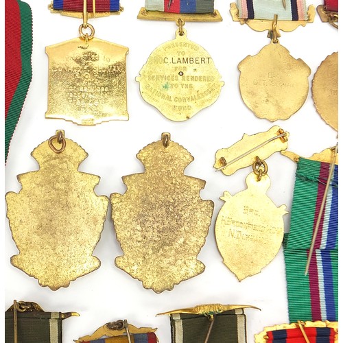 237 - Twenty six Royal Order of Buffalo enamel jewels with various bars