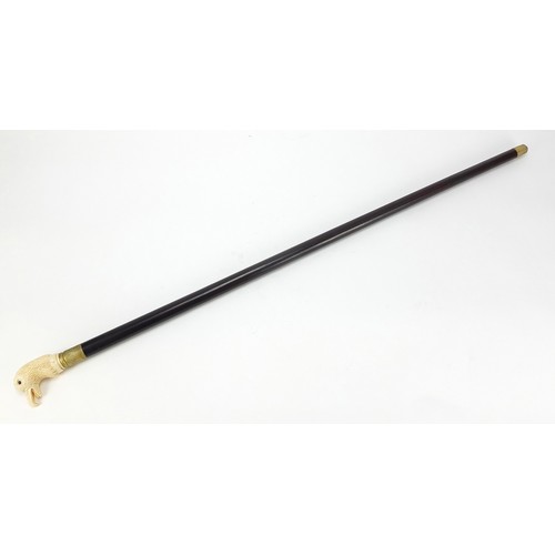 357 - Hardwood walking stick with carved bone bird head design pommel, 92cm in length