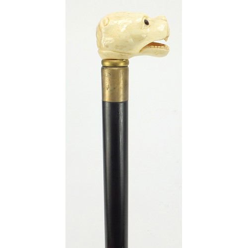 359 - Hardwood walking stick with carved bone dog design handle, 88.5cm in length