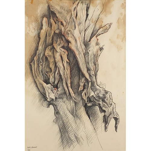 718 - Keith Clements 1972 - Trees, set of three crayon drawings, details verso, mounted, framed and glazed... 