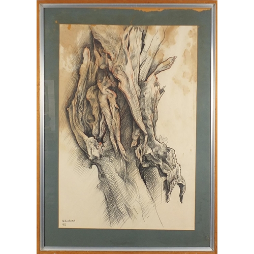 718 - Keith Clements 1972 - Trees, set of three crayon drawings, details verso, mounted, framed and glazed... 