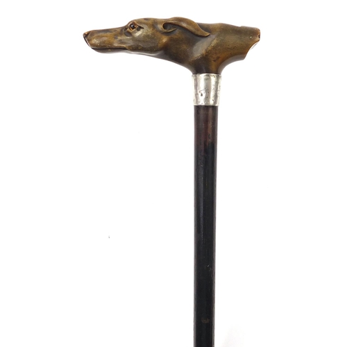 871 - Ebonised walking stick with carved horn dog's head design whistle handle and silver collar, 87.5cm i... 