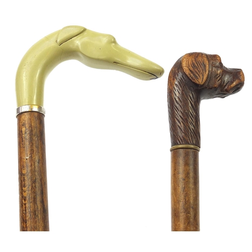 1939 - Two hardwood walking sticks with dog's head design handles including a carved wood example, the larg... 