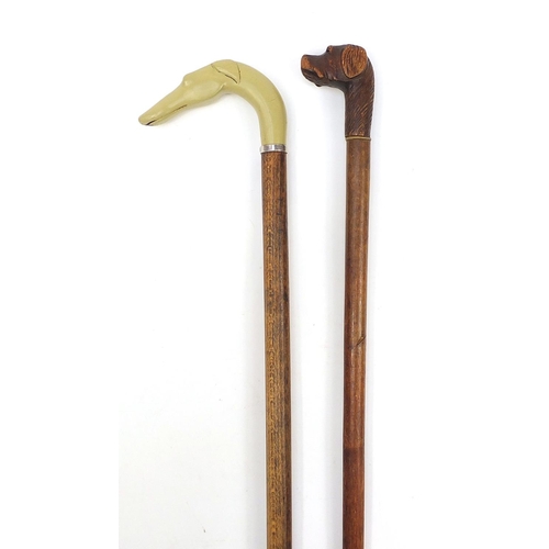 1939 - Two hardwood walking sticks with dog's head design handles including a carved wood example, the larg... 