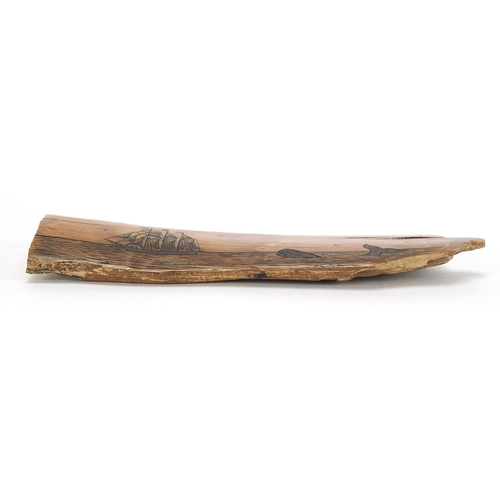 133 - Scrimshaw mammoth tooth ivory section carved with a ship and whale, 14.5cm wide