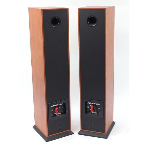 1980 - Aegis Evo Three, pair of floor standing speakers, serial number A50500103, 91cm high