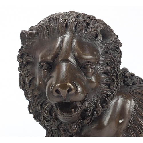 345A - Large pair of Grand Tour style patinated bronze lions, 30cm in length