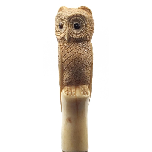 880 - Hardwood walking stick with carved bone owl handle, 89cm in length