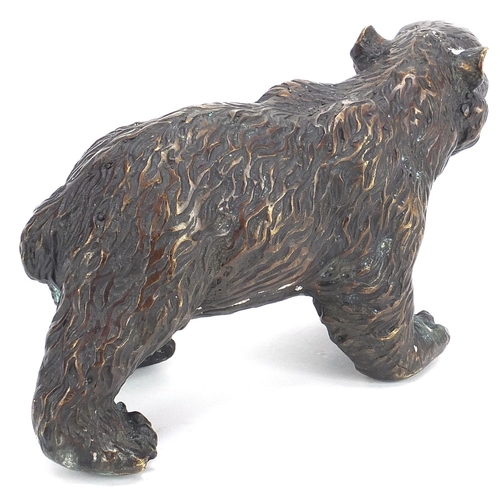 2088 - Patinated bronze bear, 15cm in length