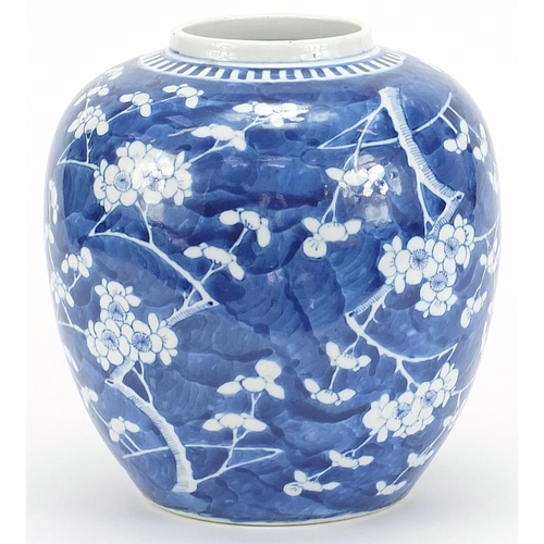 543 - Large Chinese blue and white porcelain ginger jar hand painted with prunus flowers, four figure char... 