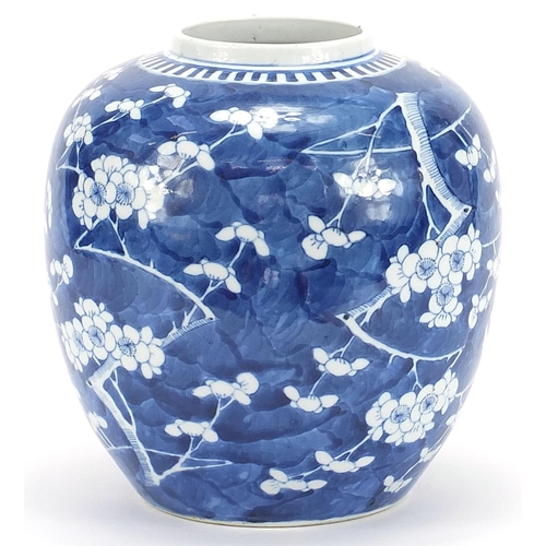 543 - Large Chinese blue and white porcelain ginger jar hand painted with prunus flowers, four figure char... 