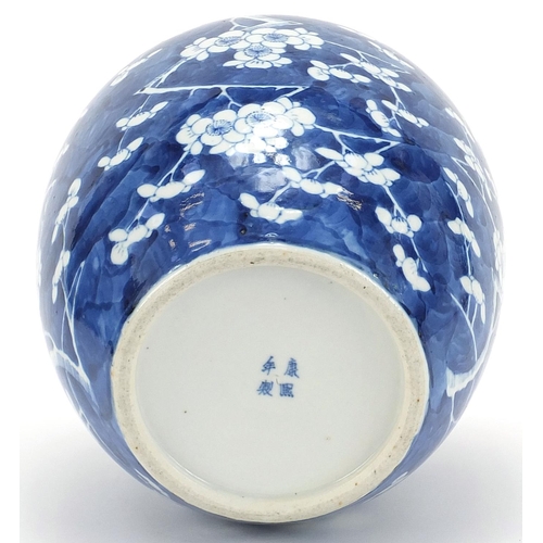 543 - Large Chinese blue and white porcelain ginger jar hand painted with prunus flowers, four figure char... 