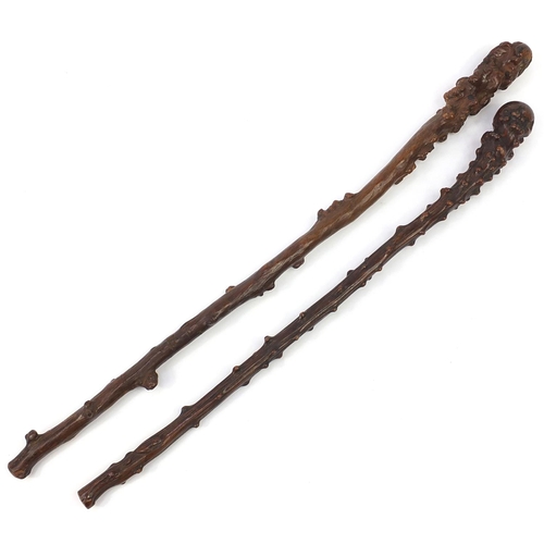 884 - Two antique root wood walking sticks, the largest 75cm in length