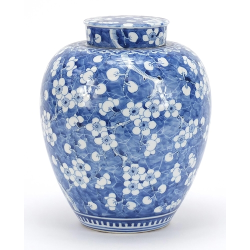 647 - Large Chinese blue and white porcelain jar and cover hand painted with prunus flowers, 24cm high