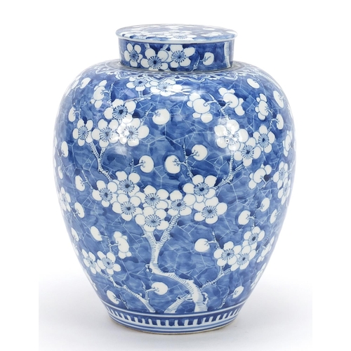 647 - Large Chinese blue and white porcelain jar and cover hand painted with prunus flowers, 24cm high