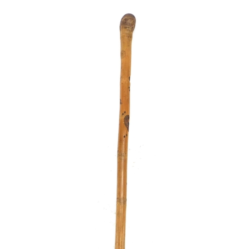 872 - Good Chinese or Japanese bamboo walking stick finely carved with toads and serpents, 86cm in length