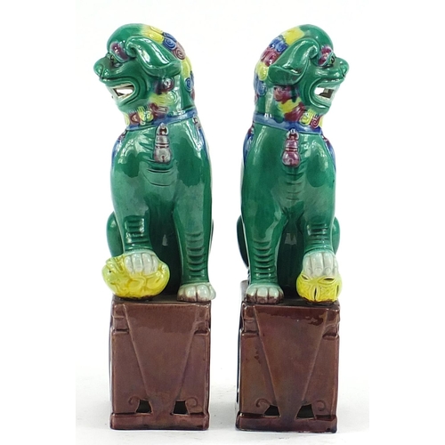 639 - Pair of Chinese porcelain Foo dogs, each 26cm high