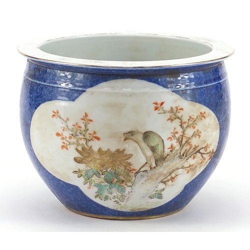 742 - Chinese powder blue ground porcelain jardinière hand painted in the famille rose palette with birds ... 