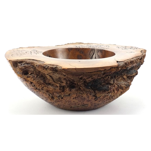 224 - Paul Waters, large Australian jarrah burl bowl with receipt for £237, 16cm high x 45cm wide