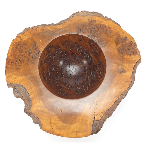 224 - Paul Waters, large Australian jarrah burl bowl with receipt for £237, 16cm high x 45cm wide