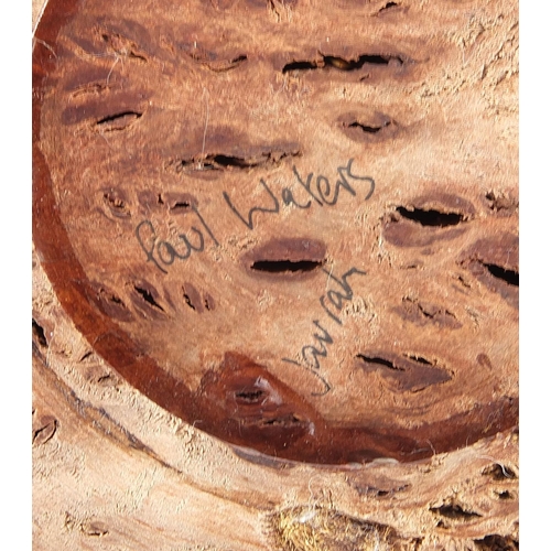 224 - Paul Waters, large Australian jarrah burl bowl with receipt for £237, 16cm high x 45cm wide