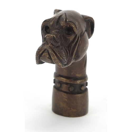 1862 - Patinated bronze dog's head walking stick handle, 6.5cn high