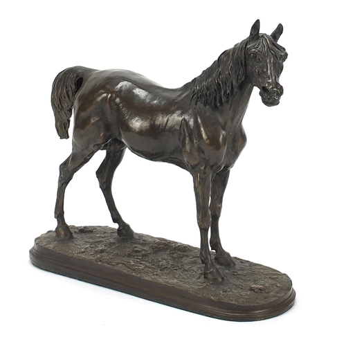 1900 - Large modern bronzed study of a horse, 35cm wide