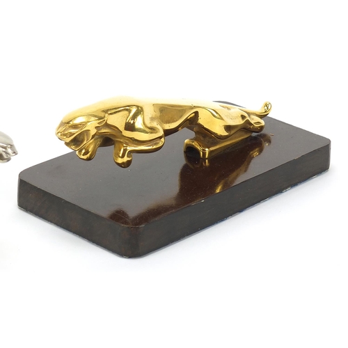 850 - Jaguar gold plated car mascot and a chrome and glass jaguar desk paperweight, the largest 18.5cm wid... 