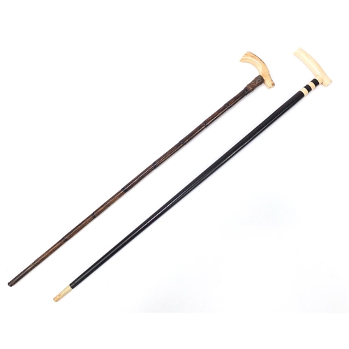 882A - Two walking sticks with ivory handles including one with ebony shaft, the largest 90cm in length