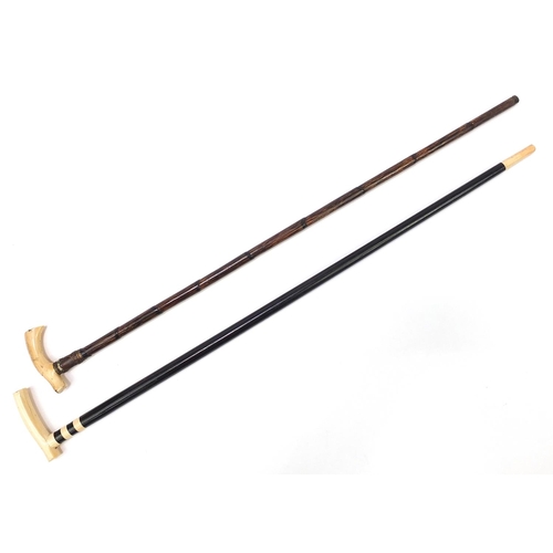 882A - Two walking sticks with ivory handles including one with ebony shaft, the largest 90cm in length