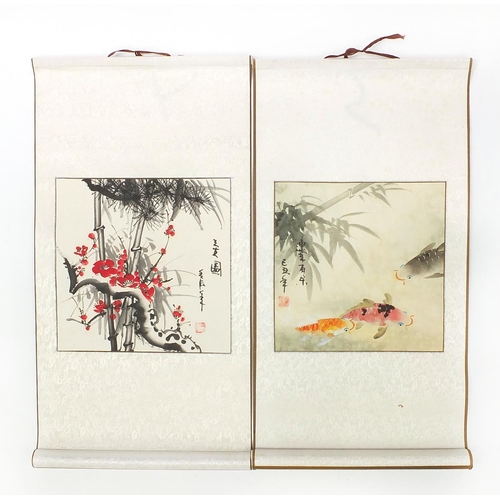 1949 - Koi and Cherry blossom, pair of Chinese watercolour wall hanging scrolls, each 33cm x 33cm