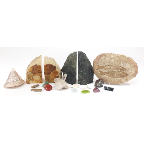 2567 - Fossils, stones and shells including amethyst bookends and fossilised fish, the largest 22cm wide