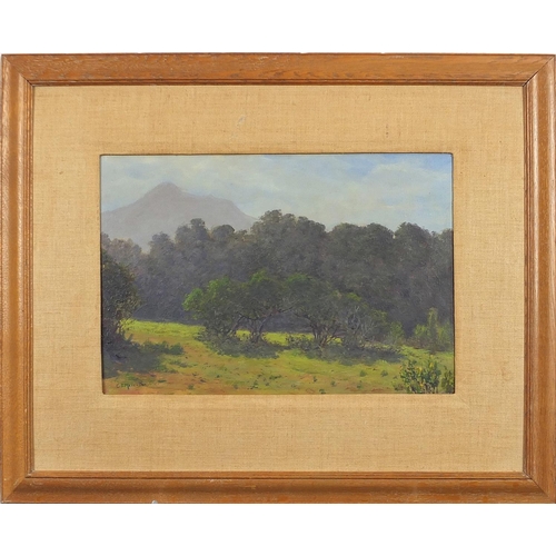 1770 - Charles Stephen Meacham - Summer country landscape, signed oil on board, mounted and framed, 34cm x ... 