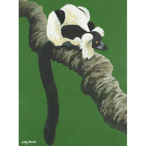 1794 - Sally Michel SWLA - Black and white ruffed lemur, signed gouache, exhibition label verso, mounted, f... 