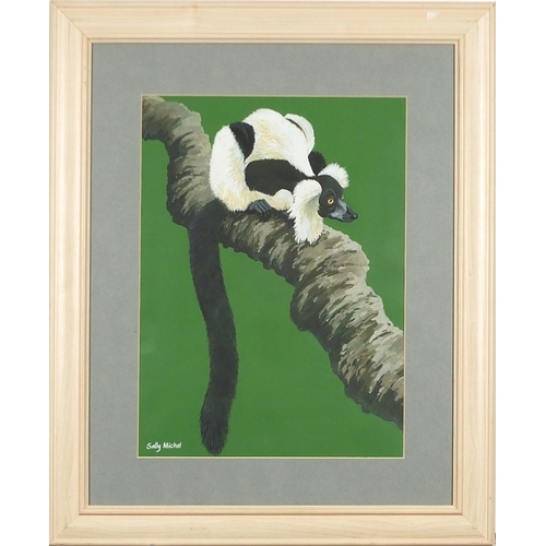 1794 - Sally Michel SWLA - Black and white ruffed lemur, signed gouache, exhibition label verso, mounted, f... 