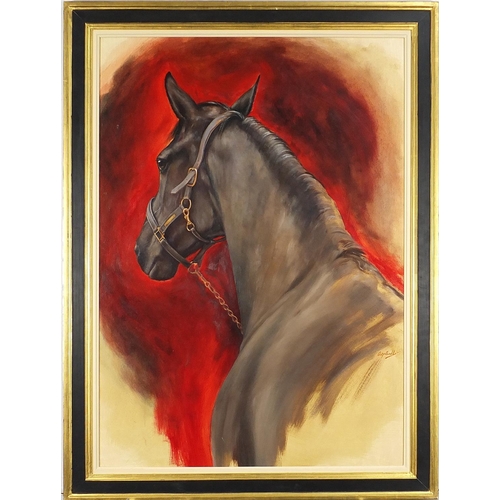 326 - Sarah Aspinall - Portrait of a horse, oil on board, mounted and framed, 80.5cm x 56cm excluding the ... 