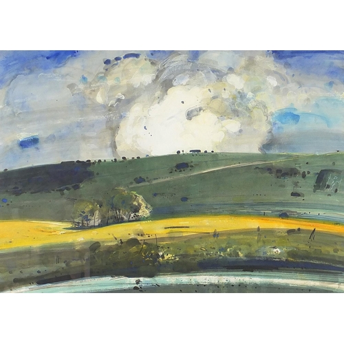 1871 - Bill Day '06 - Sussex landscape, mixed media, details verso, mounted, framed and glazed, 72.5cm x 51... 