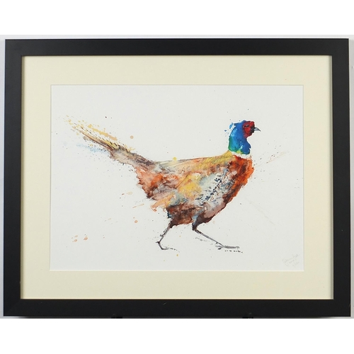 1035 - Study of a pheasant, print in colour, limited edition 4/250, mounted, framed and glazed, 56cm x 41cm... 