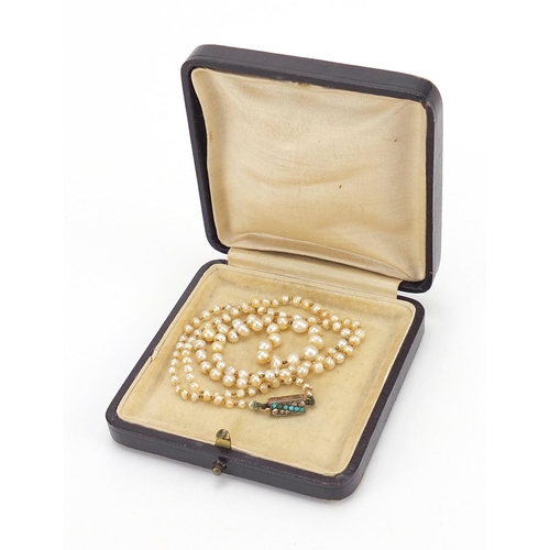 111 - Antique graduated pearl necklace with 9ct gold, diamond and turquoise clasp, housed in a tooled leat... 