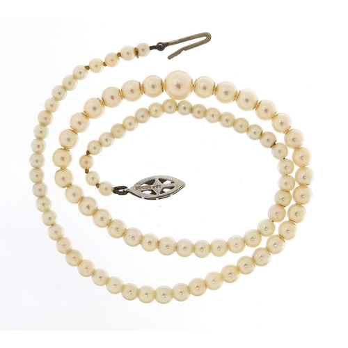 318 - Graduated pearl necklace with 9ct white gold clasp, set with sapphire and diamonds, housed in a Gold... 