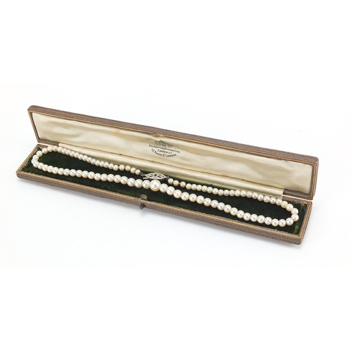 318 - Graduated pearl necklace with 9ct white gold clasp, set with sapphire and diamonds, housed in a Gold... 