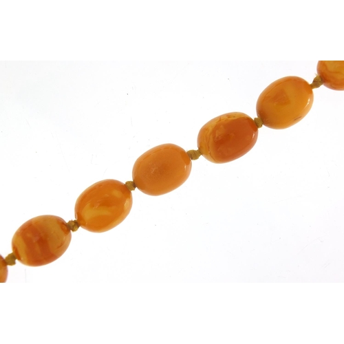 360 - Butterscotch amber coloured bead necklace with 9ct gold clasp, 64cm in length, 40.8g