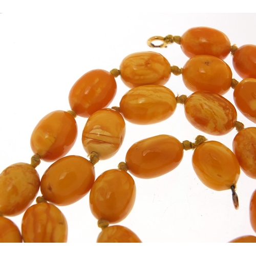 360 - Butterscotch amber coloured bead necklace with 9ct gold clasp, 64cm in length, 40.8g